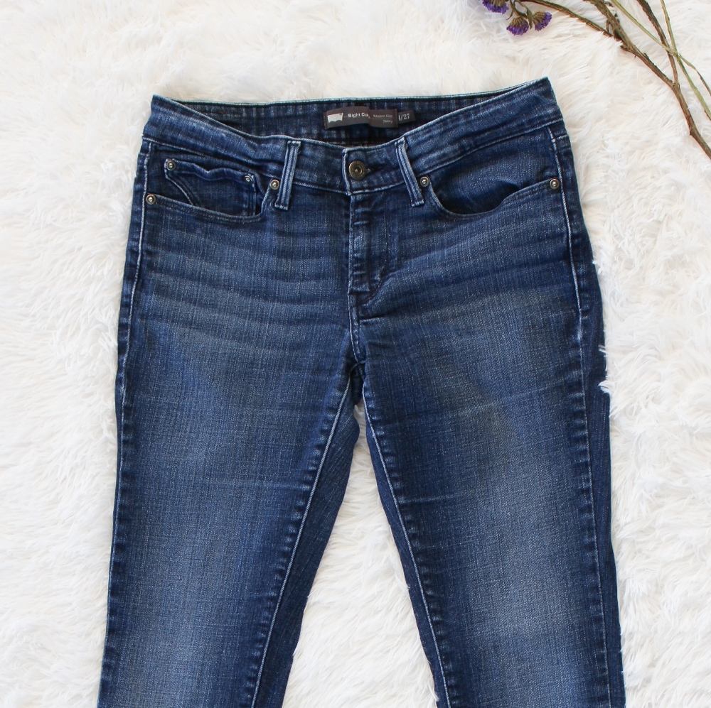 Levis Slight Curve Modern Rise Skinny